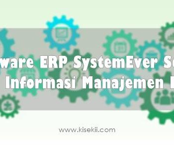 Software ERP SystemEver Solusi Sistem Informasi Manajemen Modern