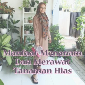 manfaat-menanam-dan-merawat-tanaman-hias