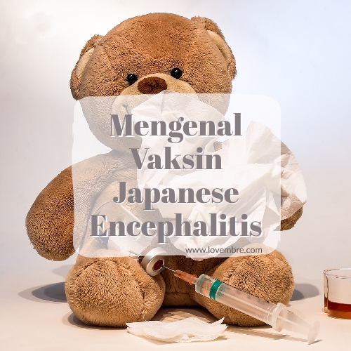 Vaksin Japanese Encephalitis