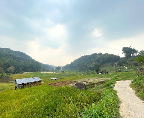 Rustic Market Rock Riverside Pacet-1